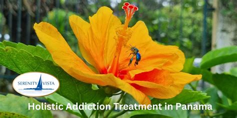 best luxury drug rehab|The Pinnacle of Luxury Rehab: World's Top Treatment Centers.